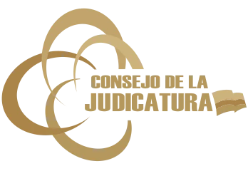 Función Judicial